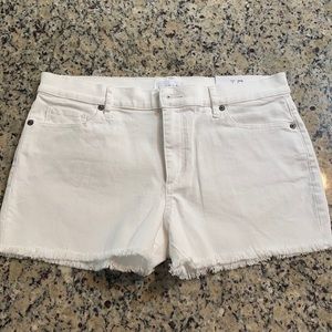 NWT White Loft Jean Shorts